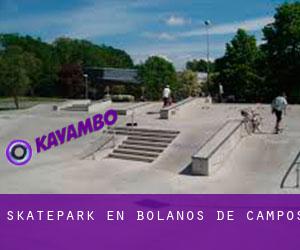 Skatepark en Bolaños de Campos