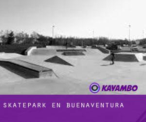 Skatepark en Buenaventura