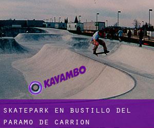 Skatepark en Bustillo del Páramo de Carrión