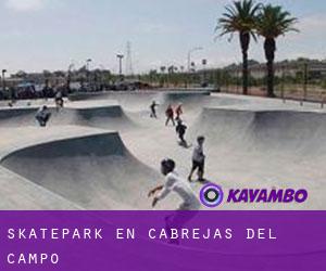 Skatepark en Cabrejas del Campo