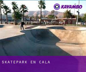 Skatepark en Cala