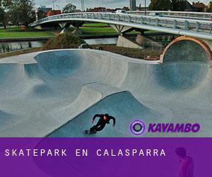 Skatepark en Calasparra