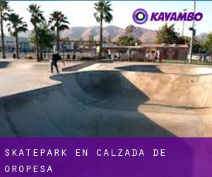 Skatepark en Calzada de Oropesa