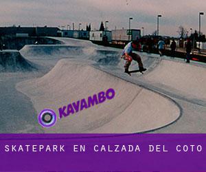 Skatepark en Calzada del Coto