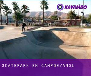 Skatepark en Campdevànol