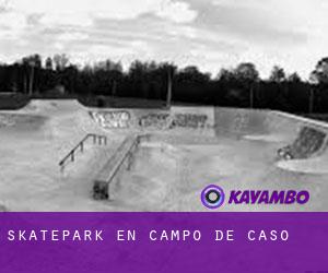 Skatepark en Campo de Caso