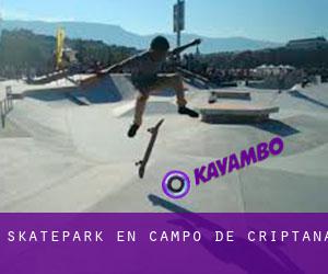 Skatepark en Campo de Criptana