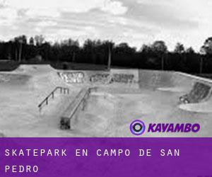 Skatepark en Campo de San Pedro