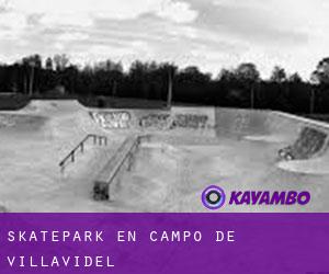 Skatepark en Campo de Villavidel