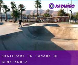 Skatepark en Cañada de Benatanduz