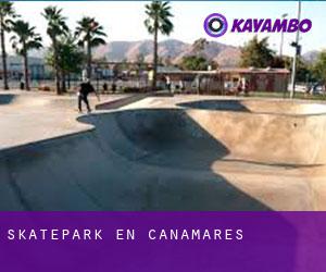 Skatepark en Cañamares