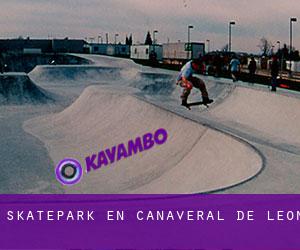 Skatepark en Cañaveral de León