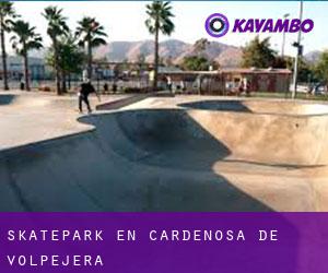 Skatepark en Cardeñosa de Volpejera