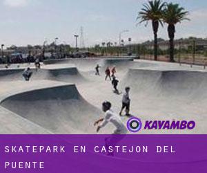 Skatepark en Castejón del Puente