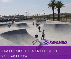 Skatepark en Castillo de Villamalefa