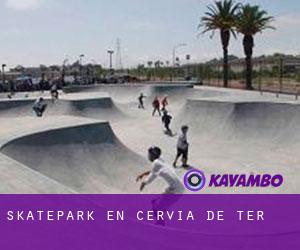 Skatepark en Cervià de Ter