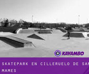 Skatepark en Cilleruelo de San Mamés