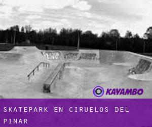 Skatepark en Ciruelos del Pinar