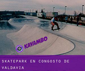 Skatepark en Congosto de Valdavia