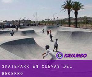 Skatepark en Cuevas del Becerro