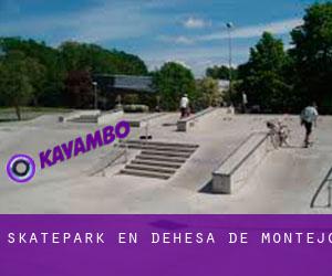 Skatepark en Dehesa de Montejo