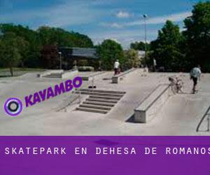 Skatepark en Dehesa de Romanos