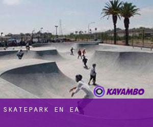 Skatepark en Ea