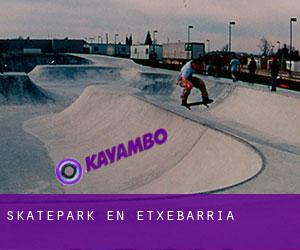 Skatepark en Etxebarria