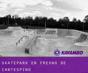 Skatepark en Fresno de Cantespino