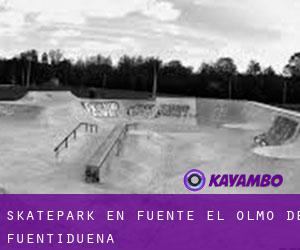 Skatepark en Fuente el Olmo de Fuentidueña