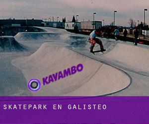 Skatepark en Galisteo