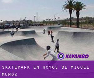 Skatepark en Hoyos de Miguel Muñoz