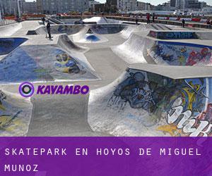 Skatepark en Hoyos de Miguel Muñoz