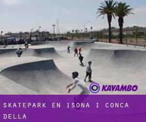 Skatepark en Isona i Conca Dellà