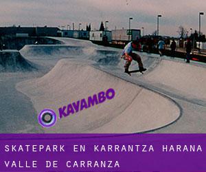 Skatepark en Karrantza Harana / Valle de Carranza