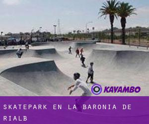 Skatepark en la Baronia de Rialb