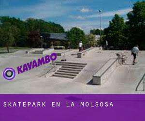 Skatepark en la Molsosa