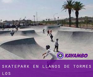 Skatepark en Llanos de Tormes (Los)