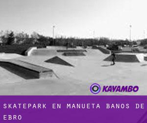 Skatepark en Mañueta / Baños de Ebro