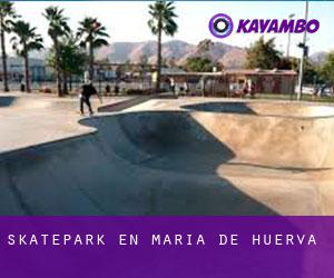 Skatepark en María de Huerva