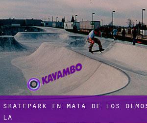 Skatepark en Mata de los Olmos (La)