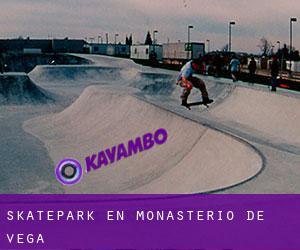 Skatepark en Monasterio de Vega
