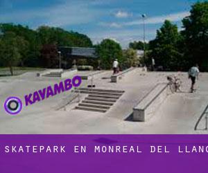 Skatepark en Monreal del Llano