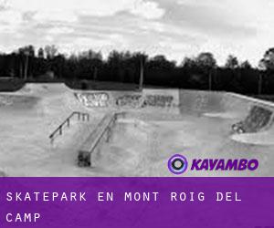 Skatepark en Mont-roig del Camp