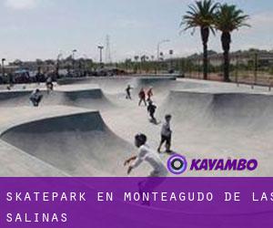 Skatepark en Monteagudo de las Salinas
