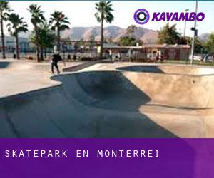 Skatepark en Monterrei