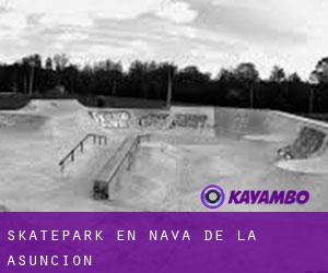 Skatepark en Nava de la Asunción