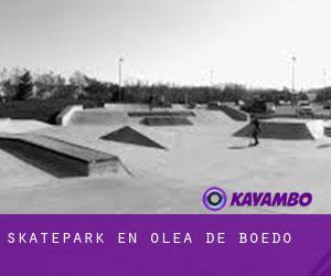 Skatepark en Olea de Boedo