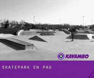 Skatepark en Pau