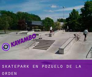 Skatepark en Pozuelo de la Orden